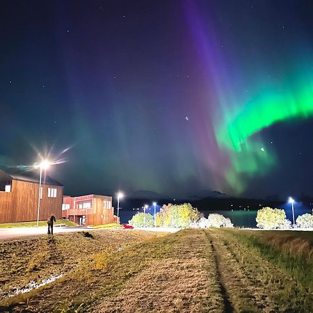 Villa Nordheim Tromsø Exteriér fotografie