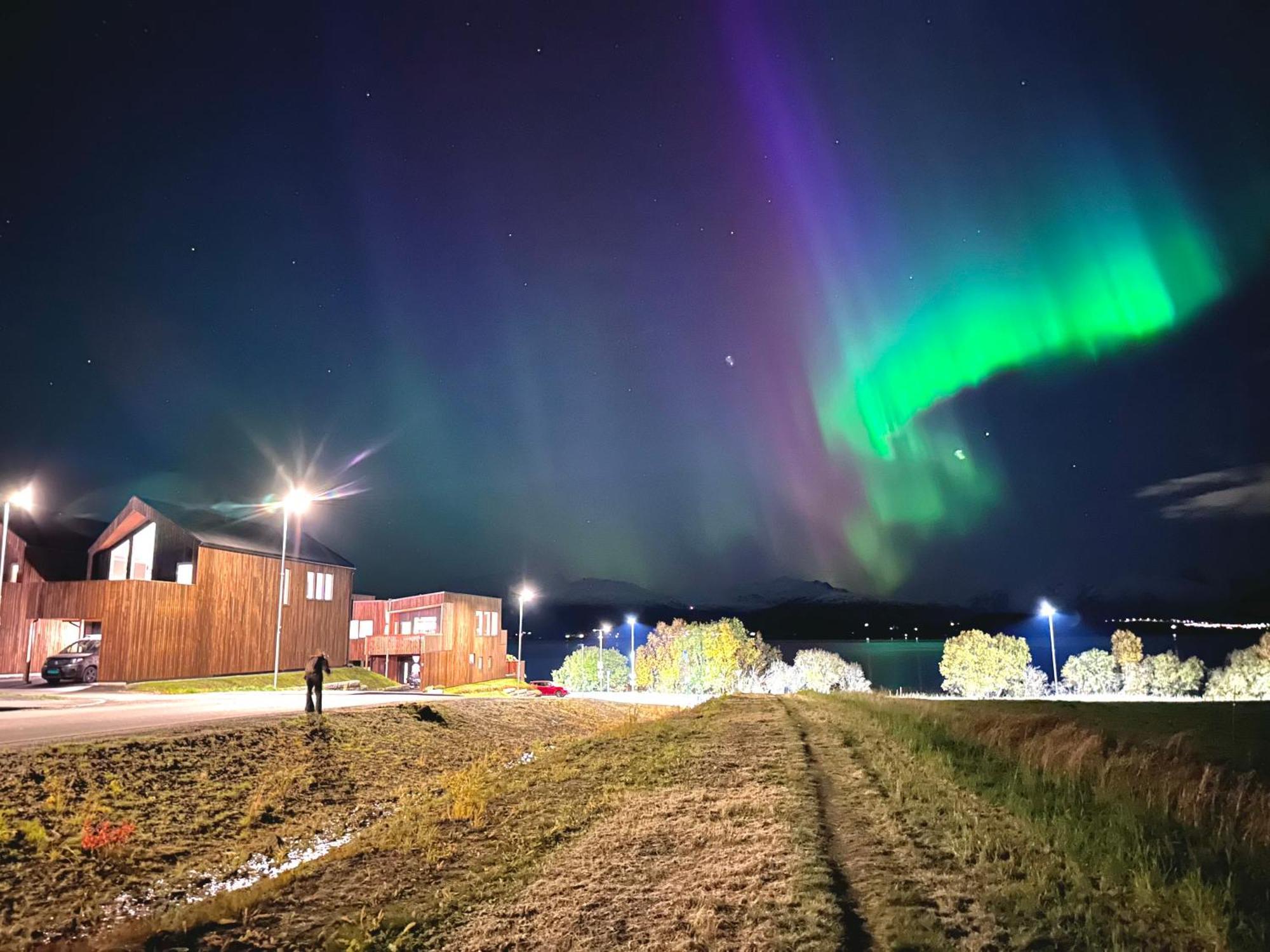 Villa Nordheim Tromsø Exteriér fotografie